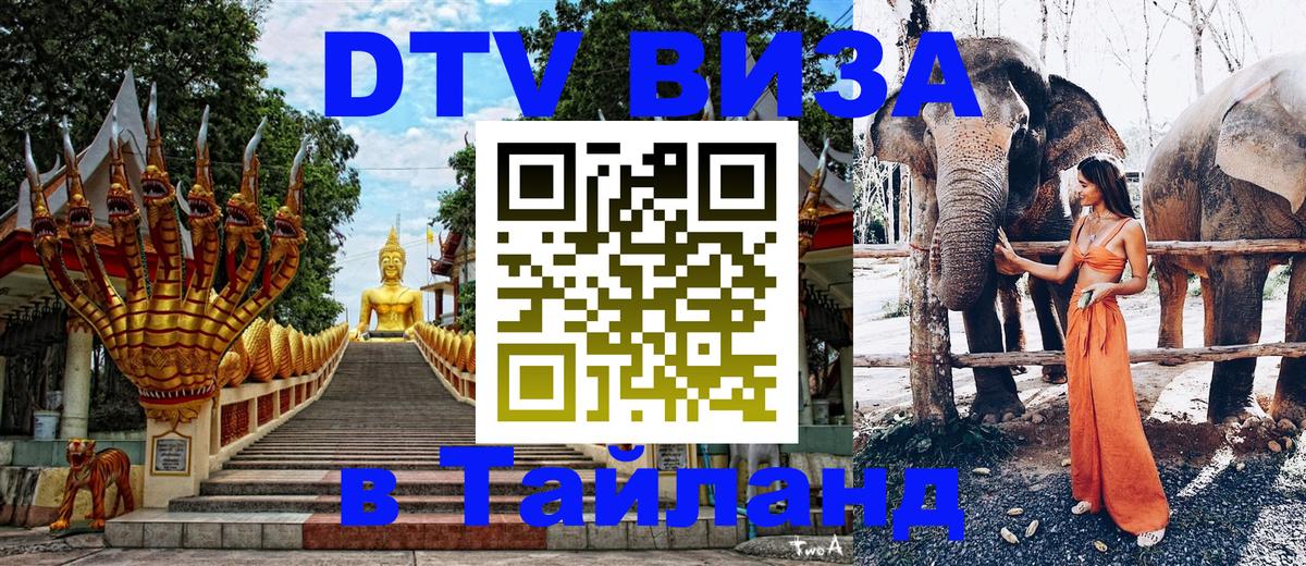 Сколько стоит DTV виза — актуальные цены, оформление даже без документов - 